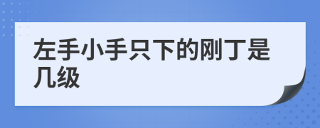 左手小手只下的刚丁是几级