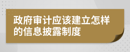政府审计应该建立怎样的信息披露制度