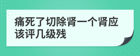 痛死了切除肾一个肾应该评几级残