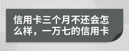 信用卡三个月不还会怎么样，一万七的信用卡