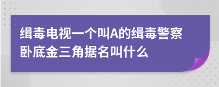 缉毒电视一个叫A的缉毒警察卧底金三角据名叫什么