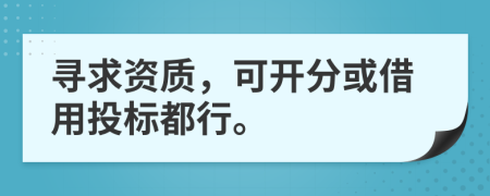 寻求资质，可开分或借用投标都行。