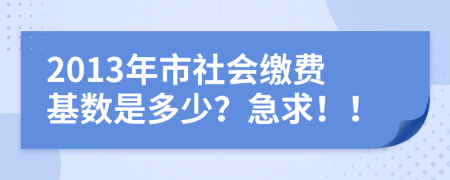 2013年市社会缴费基数是多少？急求！！