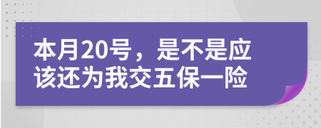 本月20号，是不是应该还为我交五保一险