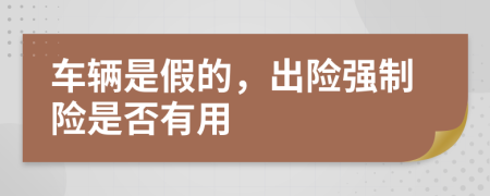 车辆是假的，出险强制险是否有用