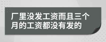 厂里没发工资而且三个月的工资都没有发的