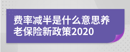 费率减半是什么意思养老保险新政策2020