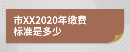 市XX2020年缴费标准是多少