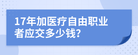 17年加医疗自由职业者应交多少钱？