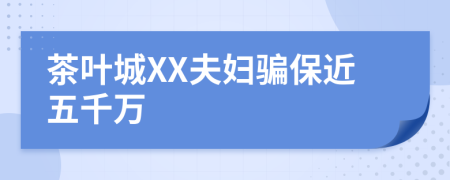 茶叶城XX夫妇骗保近五千万