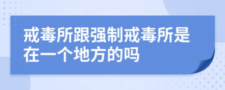 戒毒所跟强制戒毒所是在一个地方的吗