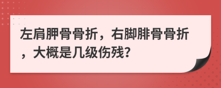 左肩胛骨骨折，右脚腓骨骨折，大概是几级伤残？