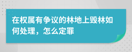 在权属有争议的林地上毁林如何处理，怎么定罪