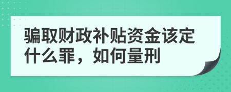 骗取财政补贴资金该定什么罪，如何量刑