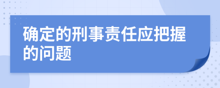 确定的刑事责任应把握的问题