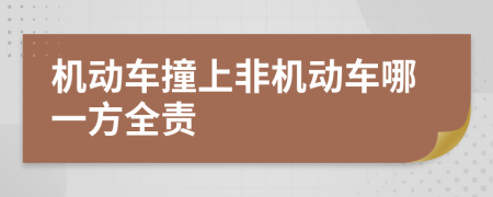 机动车撞上非机动车哪一方全责