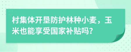 村集体开垦防护林种小麦，玉米也能享受国家补贴吗？