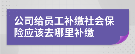 公司给员工补缴社会保险应该去哪里补缴