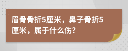 眉骨骨折5厘米，鼻子骨折5厘米，属于什么伤？