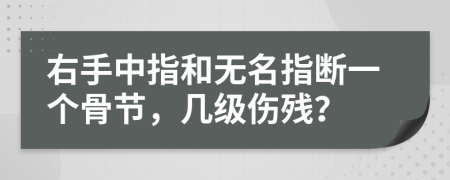 右手中指和无名指断一个骨节，几级伤残？