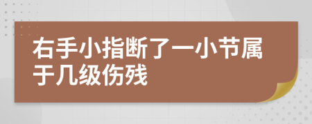 右手小指断了一小节属于几级伤残