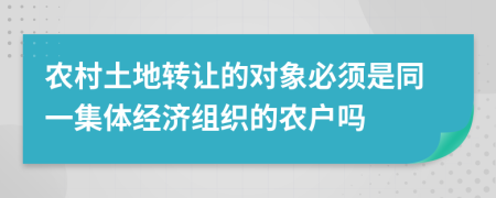 农村土地转让的对象必须是同一集体经济组织的农户吗