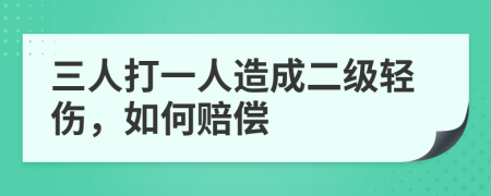 三人打一人造成二级轻伤，如何赔偿