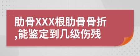 肋骨XXX根肋骨骨折,能鉴定到几级伤残