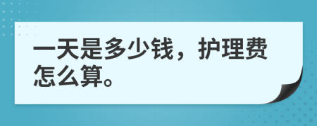 一天是多少钱，护理费怎么算。