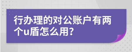 行办理的对公账户有两个u盾怎么用？