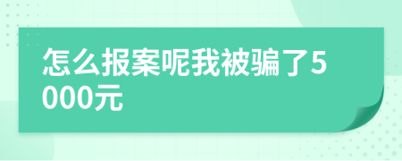 怎么报案呢我被骗了5000元