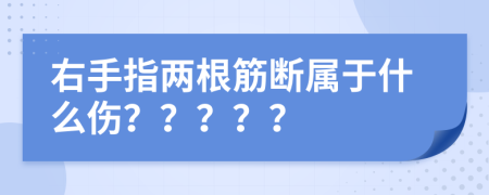 右手指两根筋断属于什么伤？？？？？