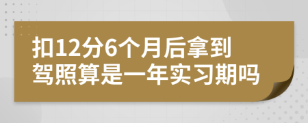 扣12分6个月后拿到驾照算是一年实习期吗