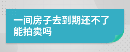 一间房子去到期还不了能拍卖吗