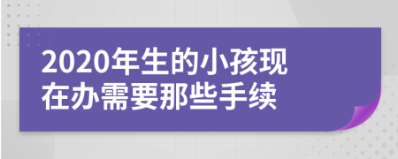 2020年生的小孩现在办需要那些手续