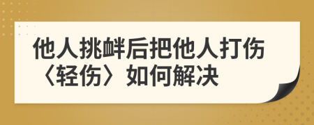 他人挑衅后把他人打伤〈轻伤〉如何解决