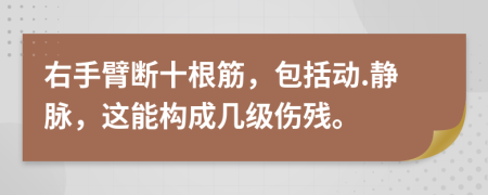 右手臂断十根筋，包括动.静脉，这能构成几级伤残。