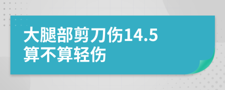 大腿部剪刀伤14.5算不算轻伤