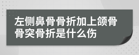 左侧鼻骨骨折加上颌骨骨突骨折是什么伤