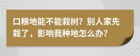 口粮地能不能栽树？别人家先栽了，影响我种地怎么办？