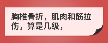 胸椎骨折，肌肉和筋拉伤，算是几级，