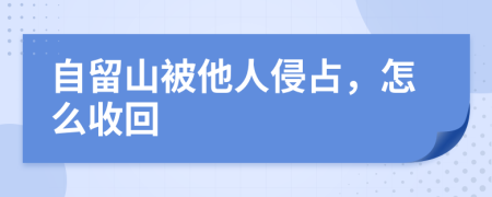 自留山被他人侵占，怎么收回