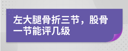 左大腿骨折三节，股骨一节能评几级