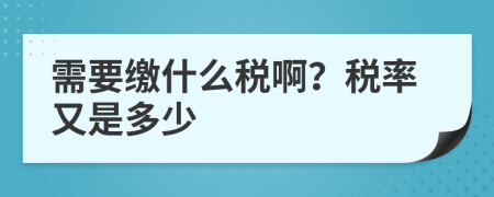 需要缴什么税啊？税率又是多少