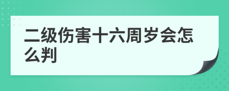 二级伤害十六周岁会怎么判