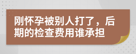 刚怀孕被别人打了，后期的检查费用谁承担