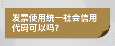 发票使用统一社会信用代码可以吗？