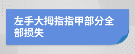 左手大拇指指甲部分全部损失