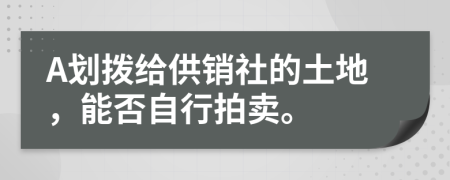 A划拨给供销社的土地，能否自行拍卖。