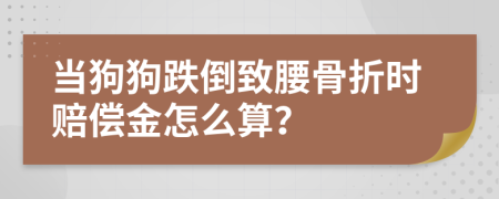 当狗狗跌倒致腰骨折时赔偿金怎么算？